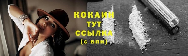 индика Армянск