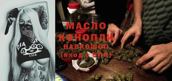 индика Армянск
