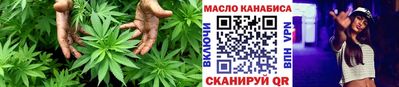 как найти   Белинский  ТГК концентрат 