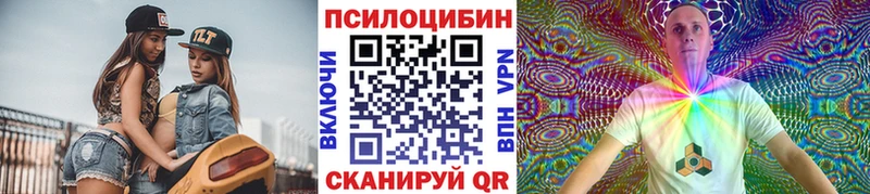 цены   Белинский  Псилоцибиновые грибы Psilocybine cubensis 